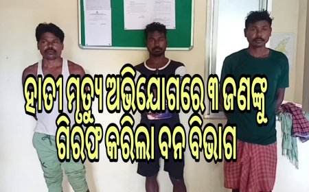 ହାତୀ ମୃତ୍ୟୁ ଅଭିଯୋଗରେ ୩ ଜଣଙ୍କୁ ଗିରଫ କରିଲା ବନ ବିଭାଗ ।