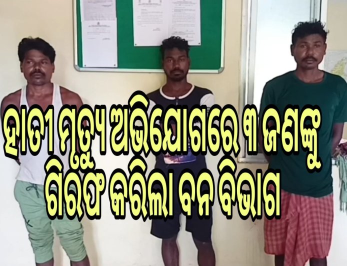 ହାତୀ ମୃତ୍ୟୁ ଅଭିଯୋଗରେ ୩ ଜଣଙ୍କୁ ଗିରଫ କରିଲା ବନ ବିଭାଗ ।